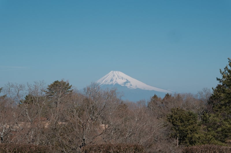 遠くに見える冠雪の富士