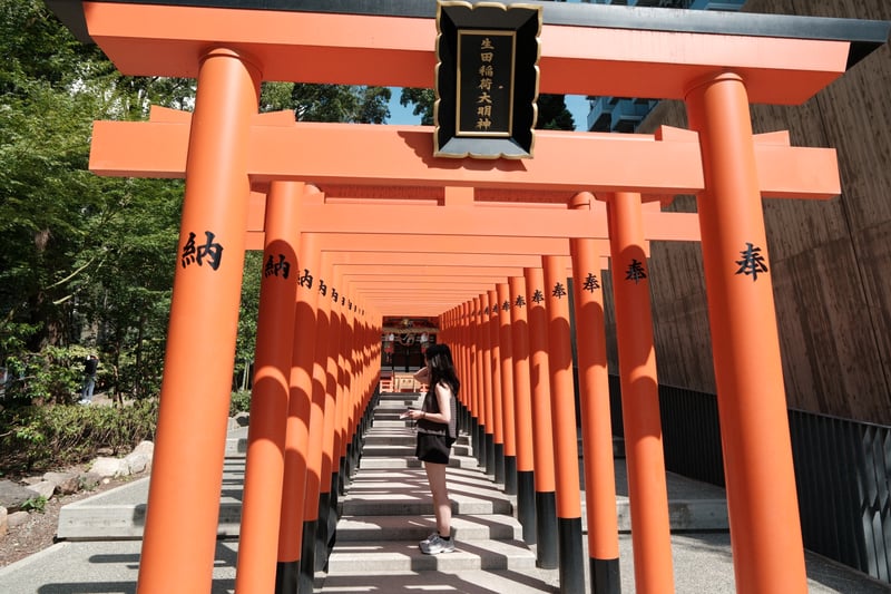 朱鳥居の続く参道