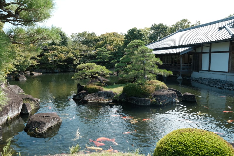 好古園 錦鯉の泳ぐ庭池