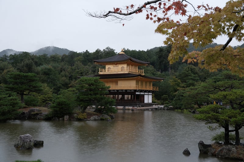 色づきはじめた枝ごしの金閣