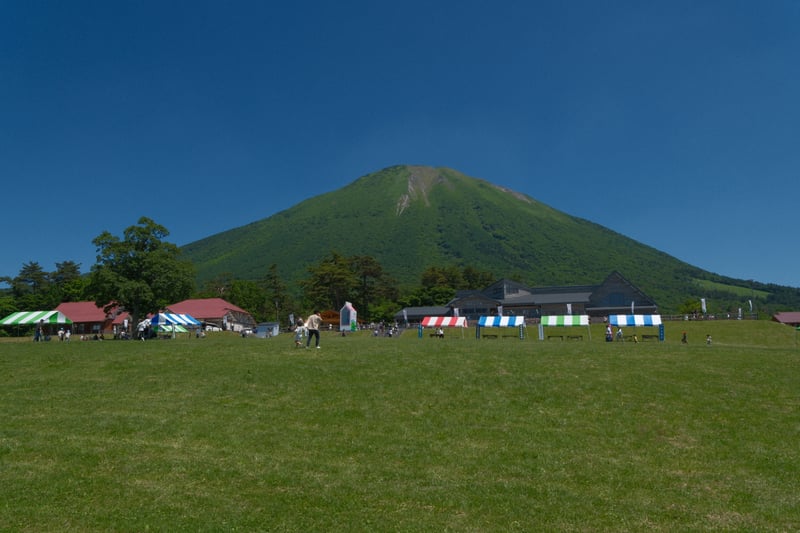 牧場から仰ぐ夏の伯耆大山
