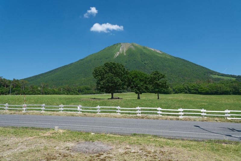 快晴の放牧地から望む伯耆大山