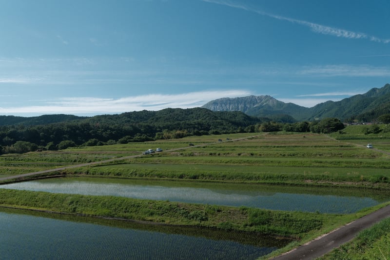 田植えの季節の大山遠景